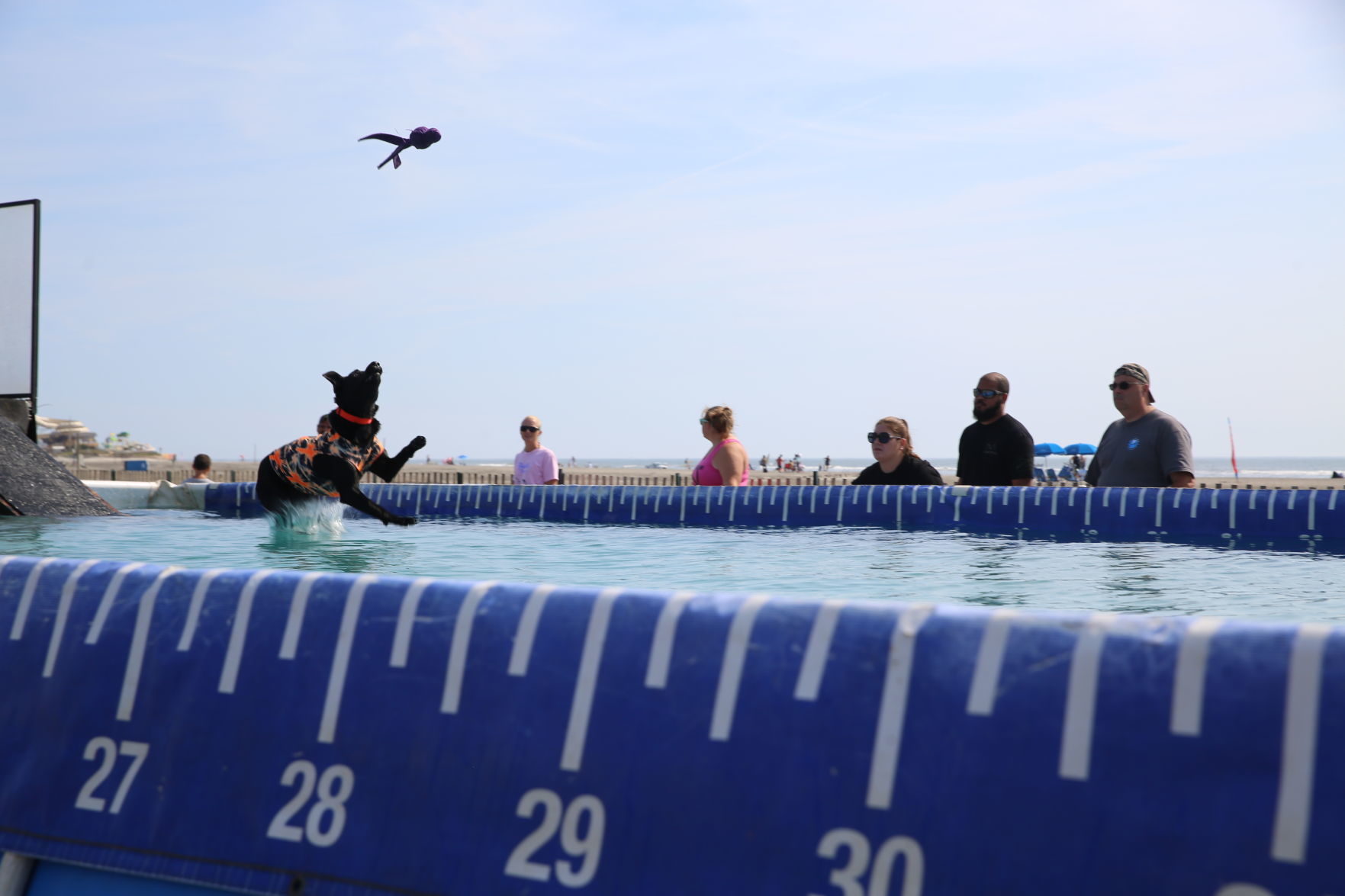 090919_gal_dockdogsWW (61)